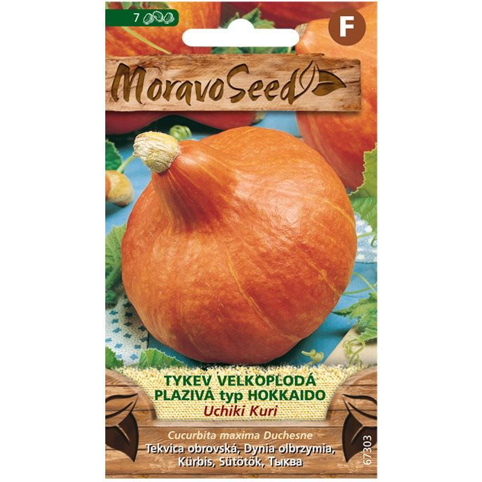Kúszó tök nagy termésű UCHIKU KURI, Hokkaido fajtású (3902mm)