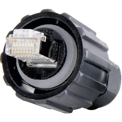 RJ45 dugó készlet Dugó, beépíthető Pólusszám: 8P8C 17-100474 Conec Tartalom: 1 db (17-100474)