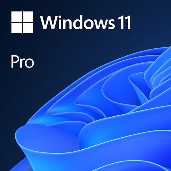 Microsoft Windows 11 Professional 64-bit MLG operační systém OEM