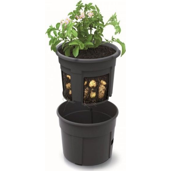 Prosperplast POTATO GROWER kaspó burgonya termesztésre 29,5 cm antracit (5905197289083)