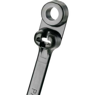 Kábelkötöző 216 mm Fekete Rögzítő füllel Panduit BC2S-S10-C0 BC2S-S10-C0 1 db (BC2S-S10-C0)