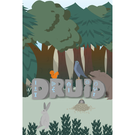 Druid (PC - Steam elektronikus játék licensz)