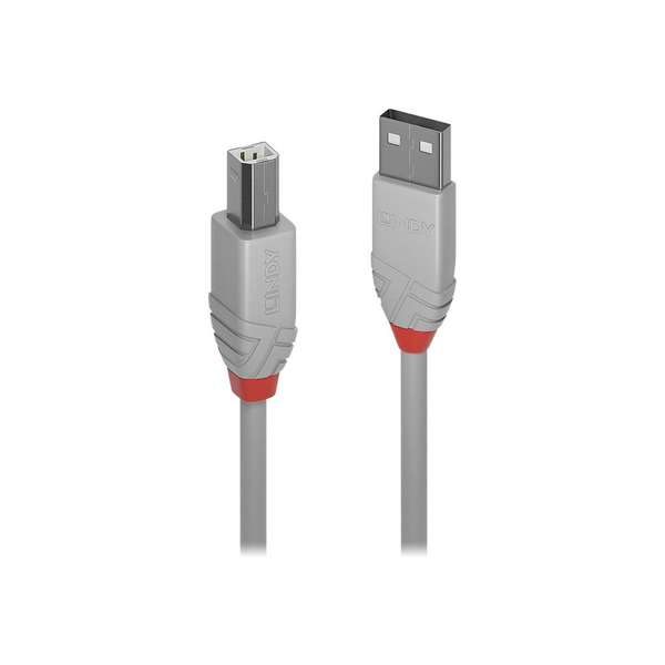 Lindy 36681 USB-kabel USB 2.0 0,5 m USB A USB B Grå