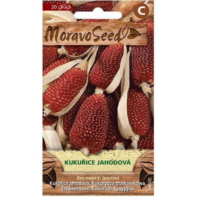 Eper kukorica (6569mm)