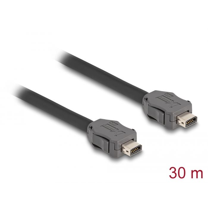 Delock Cable ix Industrial (A kódolt) apa - apa Cat.7 30 m (82026) (82026)