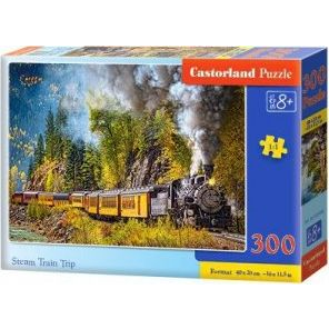 Castorland B-030446 puslespil 300 stk Tog