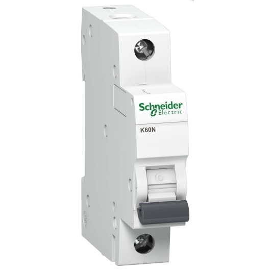 Schneider Electric A9K02110 interruttore automatico Interruttore in miniatura Tipo C 1