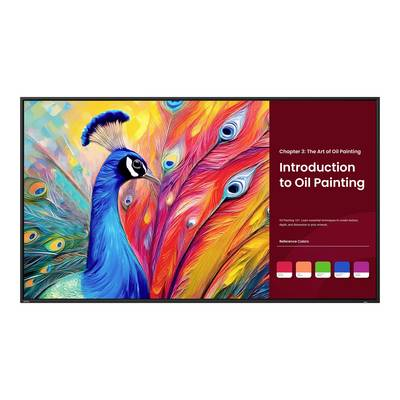 BenQ SH6504 Digitale signage flatscreen 165,1 cm (65") LCD 800 cd/m² 4K Ultra HD Zwart Type processor Android 24/7
