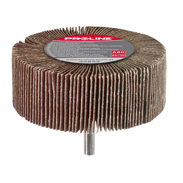  Pro-Line Ściernica listkowa trzpieniowa 80x30mm A100 - 44844