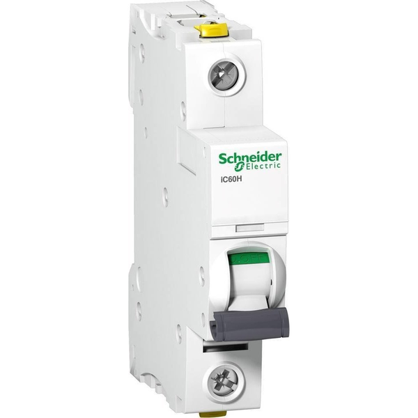 Schneider Electric A9F07125 zekering 1