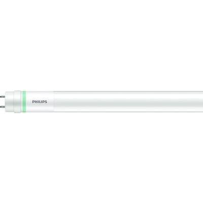 Philips Lighting LED EEK: C (A - G) G13 Cső forma T8 KVG, VVG 15.5 W Hidegfehér (O x H) 28 mm x 1212 mm 1 db (31684300) (31684300)