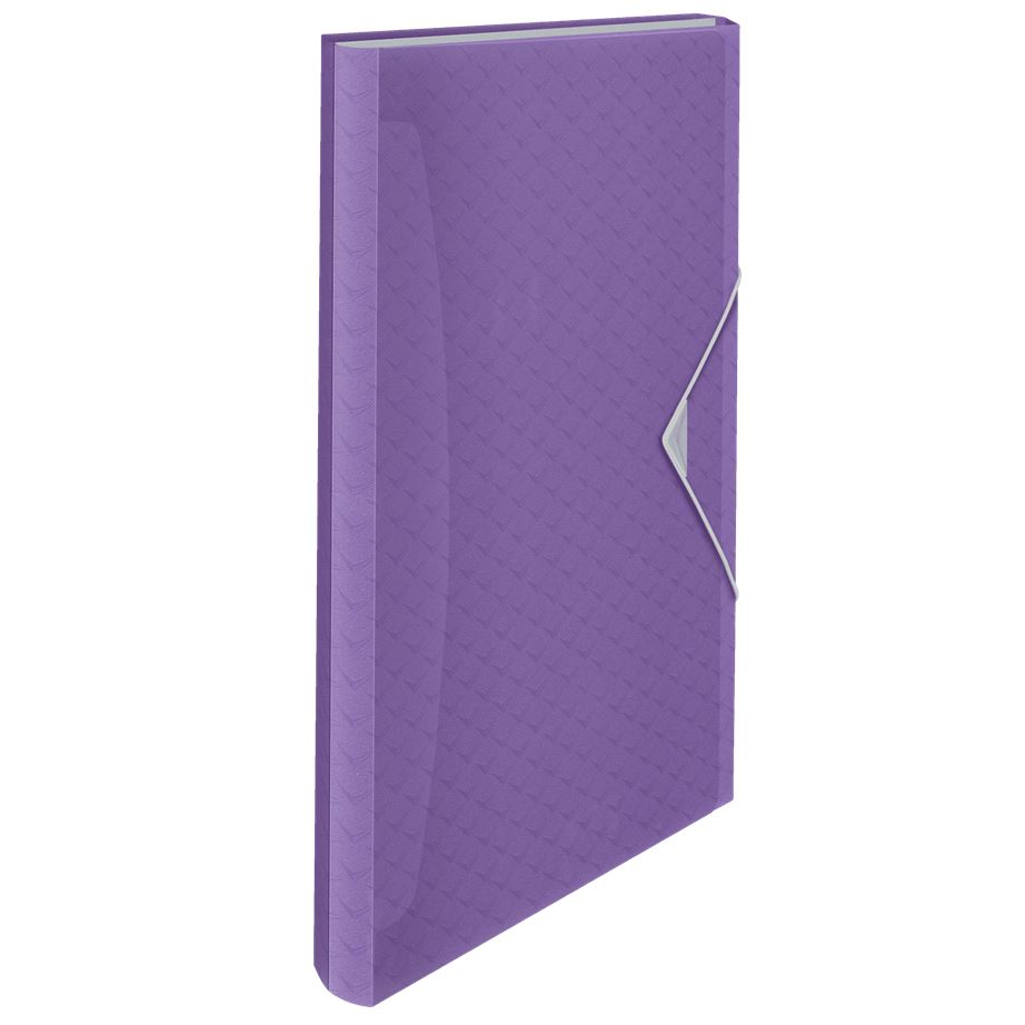 Esselte Colour'Breeze harmonika irattartó levendula színű (628448) (Esselte628448)