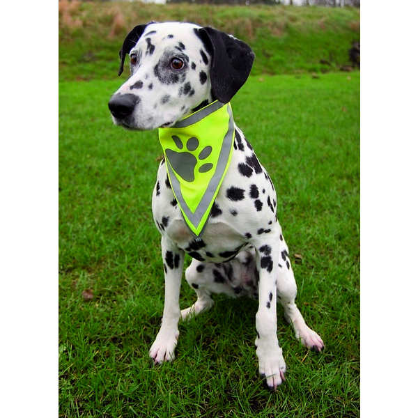 Trixie Biztonsági Kendő Kutyának Xss 2228cm (LPHT-TRX30121)