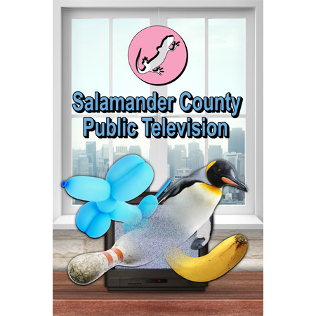 Salamander County Public Television (PC - Steam elektronikus játék licensz)