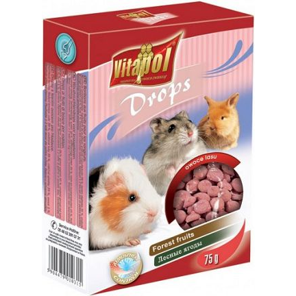 VP. 1031 Drops Erdei Gyümölcs 75 g