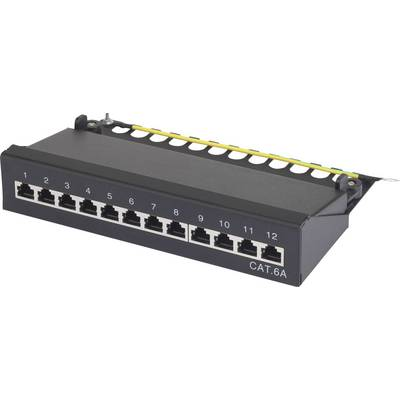 12 port Hálózati patchbox Renkforce CAT 6A 1 ME (RF-3353154)
