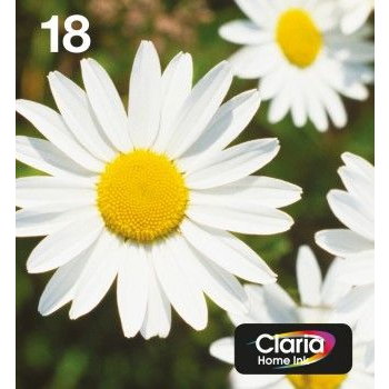 Epson Daisy C13T18064511 глава и патрон за мастиленоструен принтер 1 броя Оригинал Стандартен добив Черен, Синьо-зелен, Пурпурен, Жълт