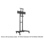 Multibrackets Floorstand Basic 180 55-80" TV gurulós padló tartó állvány - Fekete