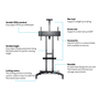 Multibrackets Floorstand Basic 180 55-80" TV gurulós padló tartó állvány - Fekete