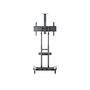 Multibrackets Floorstand Basic 180 55-80" TV gurulós padló tartó állvány - Fekete