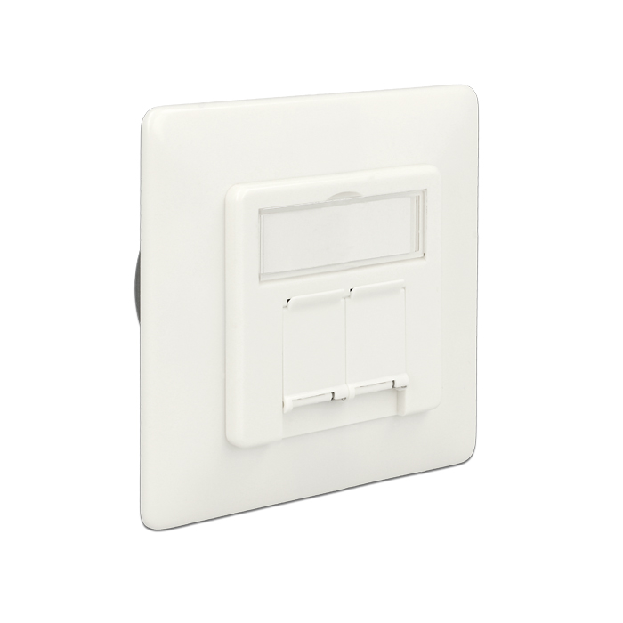 Delock Modulos fali aljzat süllyesztett 2 Port Cat.6A LSA (86195) (86195)