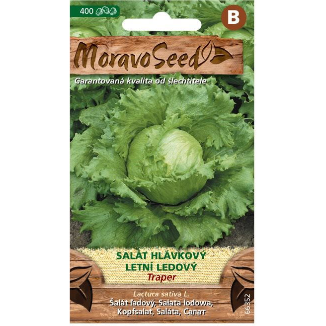 Jégsaláta nyári TRAPER (3516mm)