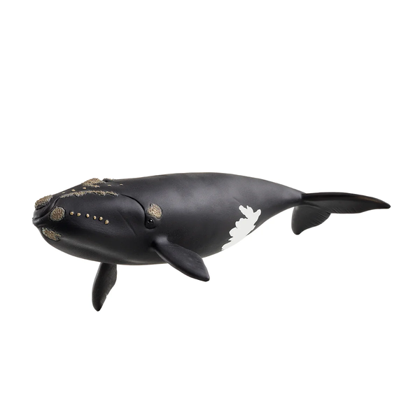 Schleich 14878 Wild Life Északi simabálna figura