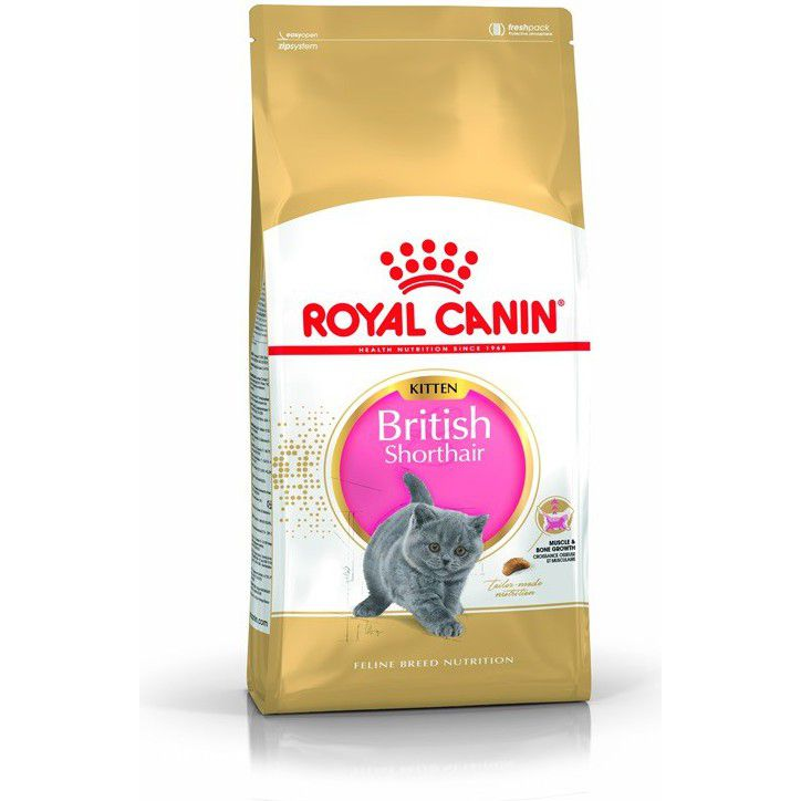 Rc. Fbn British Shorthair Kitten 400G (193100) (VAT006336)