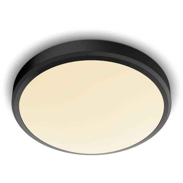Philips Funktionel 8719514326606 loftbelysning LED