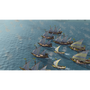 Age of Empires IV