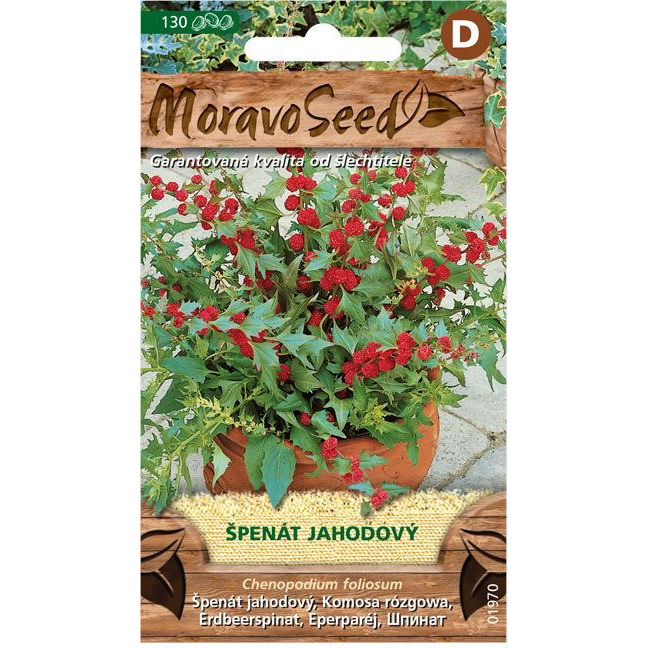 Eper spenót (3638mm)