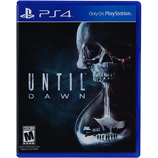 Sony Until Dawn, PS4 Standardní PlayStation 4