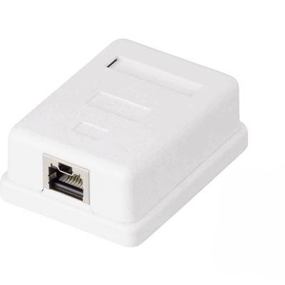1 portos falra szerelhető hálózati csatlakozó doboz, CAT 6, reteszeléssel, fehér, Renkforce KSV-ND10 (RF-4473849)