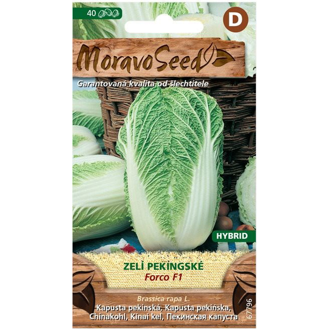 MORAVOSEED Kínai káposzta FORCO F1 - hibrid (4193mm)