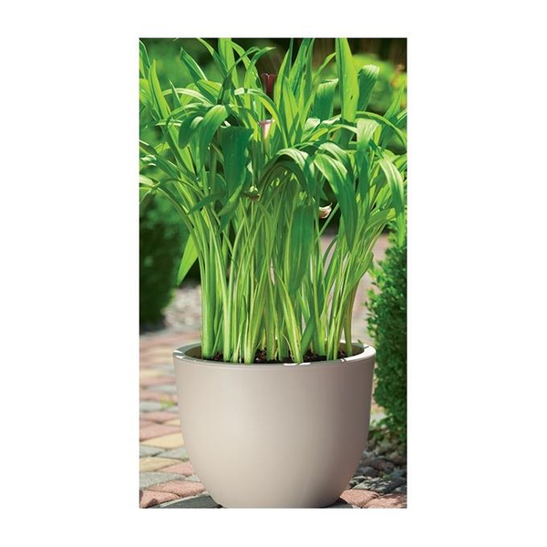Form Plastic FLOWER POT MUNA ROUND 2731 051 D35 H26
