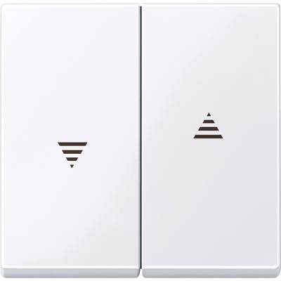 MERTEN 432425 Wippe für Rollladenschalter/Taster System M
