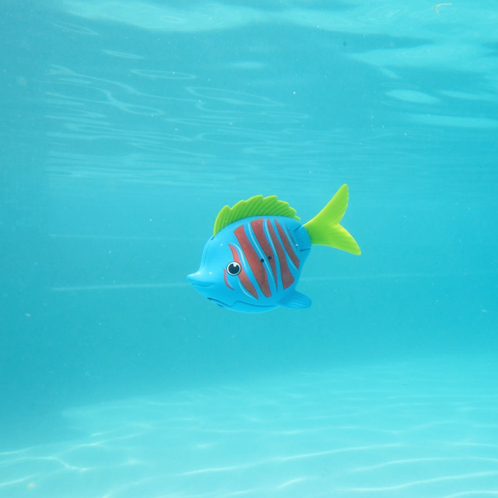 SwimWays Rainbow Reef Beta Fish (6072503)