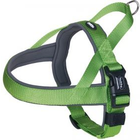 Nobby SZELKI CLASSIC PRENO L ZIELONE 60-76cm 25/35
