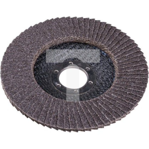 EXPERT ŚCIERNICA LISTKOWA TALERZOWA 125 GR. 100 FLAT [EXPERT] - 10sz