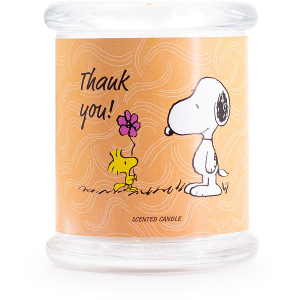 PEANUTS Thank you 250 g