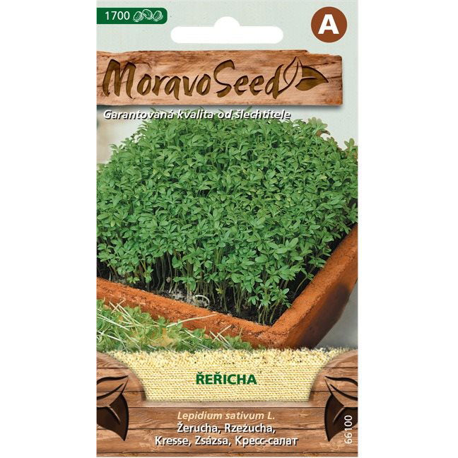 MORAVOSEED Zsázsa (3243mm)