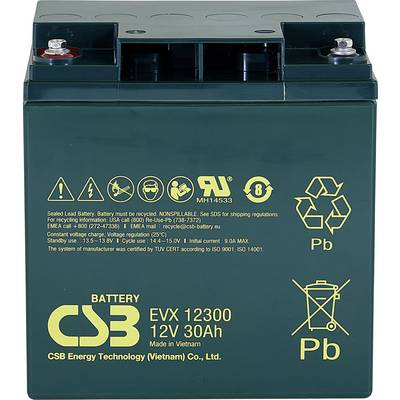 CSB Battery EVX 12300 EVX12300 Ólomakku 12 V 30 Ah Ólom-vlies (AGM) (Sz x Ma x Mé) 166 x 175 x 125 mm M5 csavaros csatlakozó Ciklusálló, Karbantartásmentes, (EVX12300)