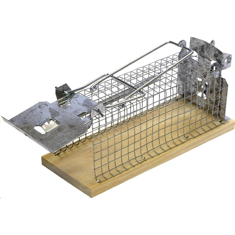 Swissinno 1584001 Egércsapda drótkalitka, élvefogó (1584001)