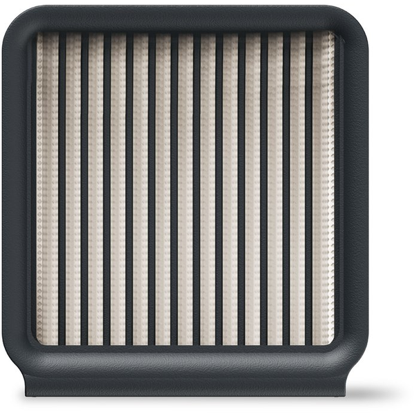 Philips XV1770/10 accessorio e ricambio per aspirapolvere Filtro Aspirapolvere elettrica