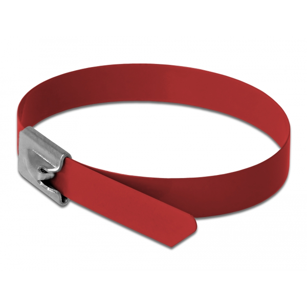 DELOCK Edelstahlkabelbinder L 300 x B 7,9 mm rot 10 Stück