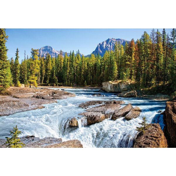 Castorland Athabasca River, Jasper National Park, Canada 1500 pcs Puzzle 1500 pz Landscape