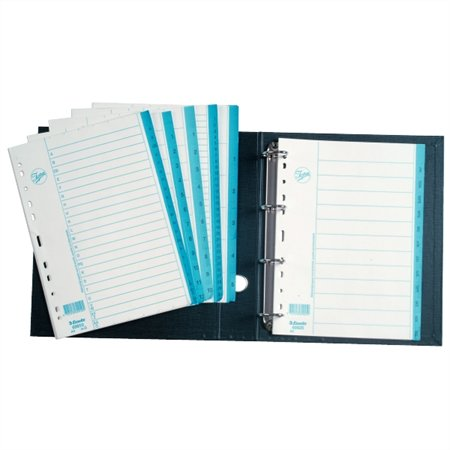 Esselte A4 Karton regiszter (69910)