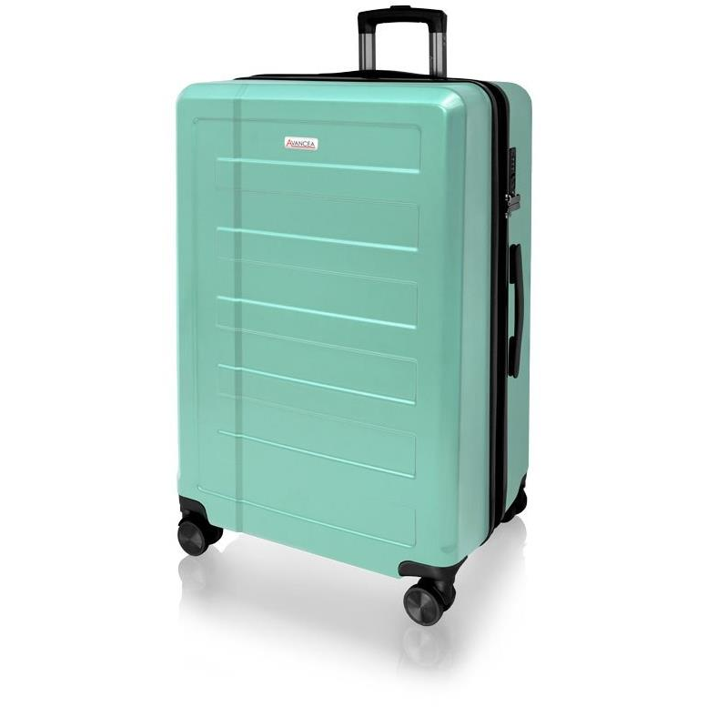 Avancea Travel case DE2934 green L (595)