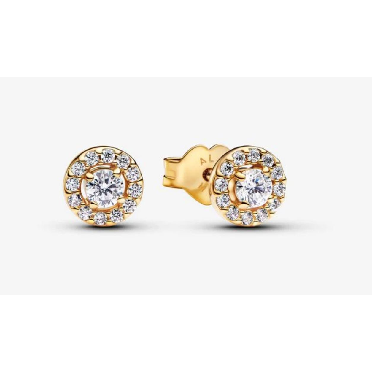 PANDORA Moments 263019C01 (5700303080529)