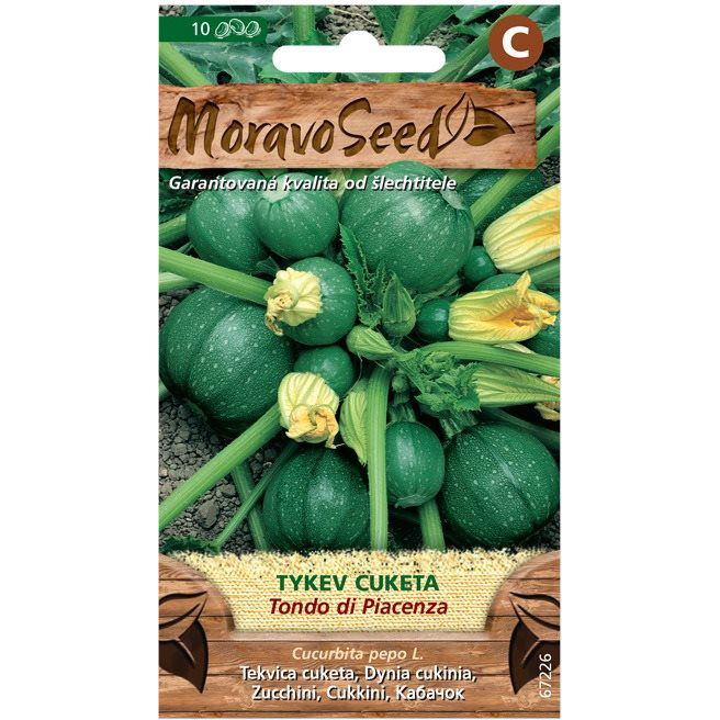 MORAVOSEED Cukkini kerek TONDO DI PIACENZA (3793mm)